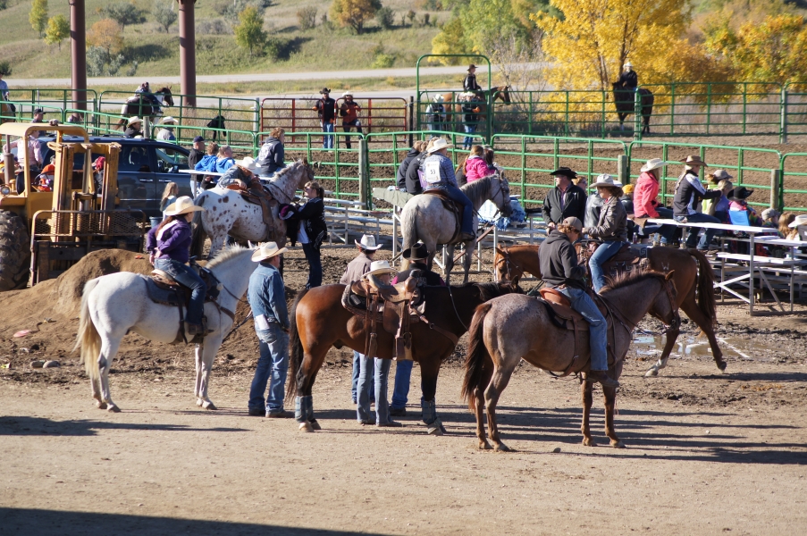 North Dakota Winter Show