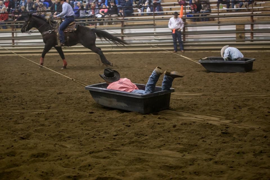 North Dakota Winter Show