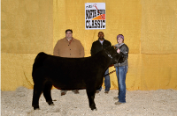 2013 Ag Country Jr. Market Steer & Heifer Showdown