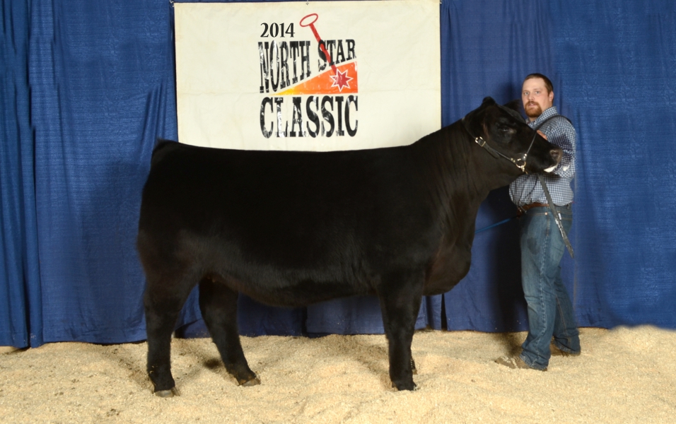 2014 NSC Open Show Champions