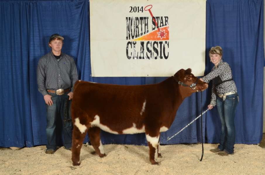 2014 NSC Open Show Champions