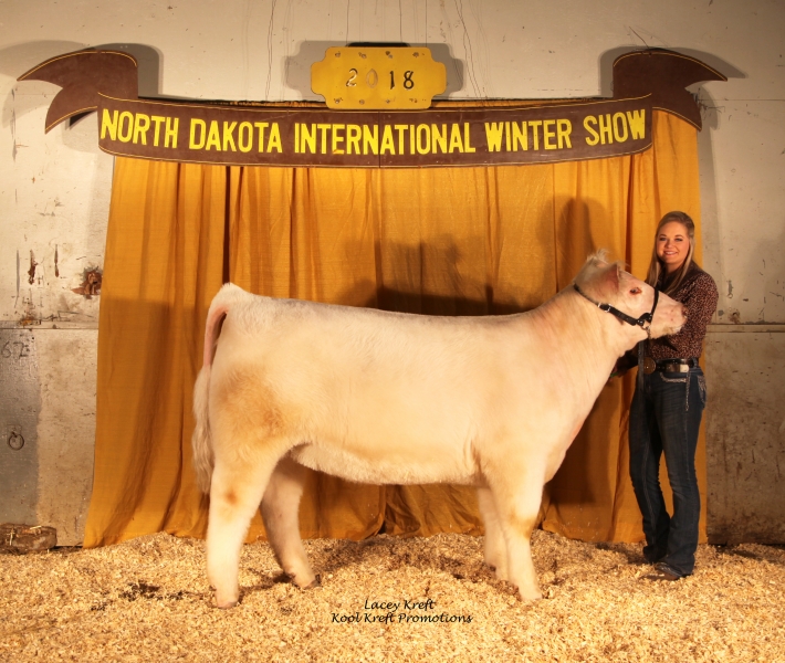 2018 NDWS Jr Cattle Heifer & Steer Show