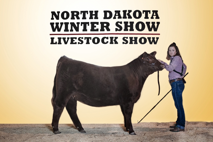 2020 NDWS Jr. Cattle Heifer & Steer Show