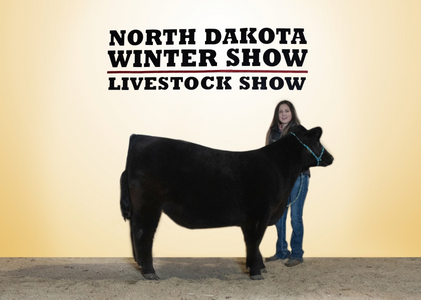 2020 NDWS Jr. Cattle Heifer & Steer Show
