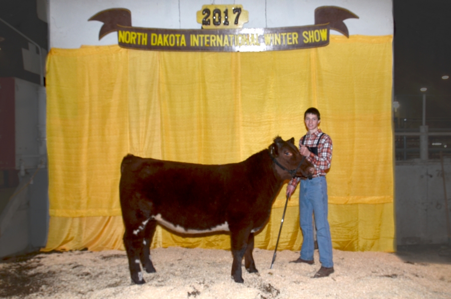 2017 NDWS Jr. Cattle Heifer and Steer Show