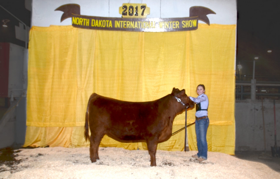 2017 NDWS Jr. Cattle Heifer and Steer Show