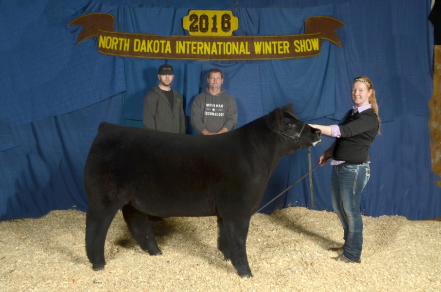 2016 Jr. Cattle Show 