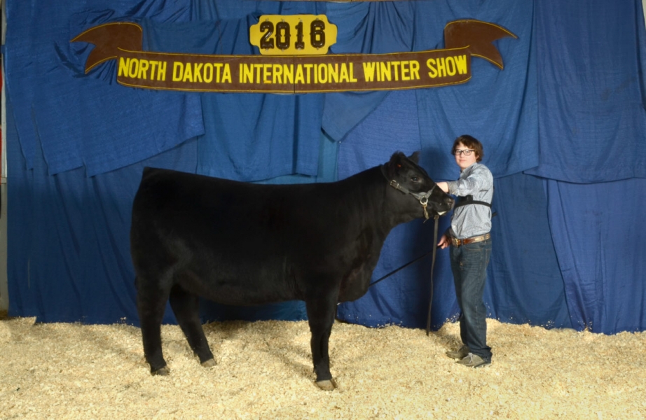 2016 Jr. Cattle Show 