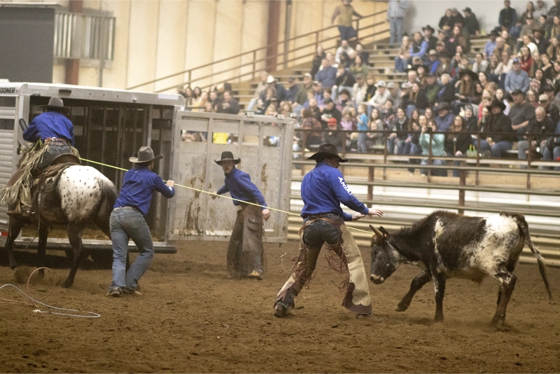 Ranch Rodeo