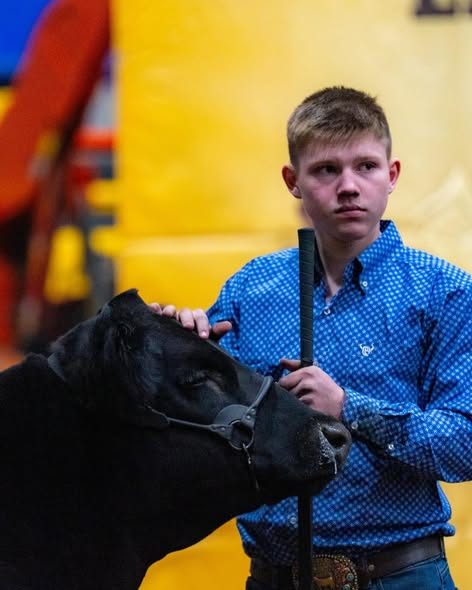 2026 Jr. Cattle Show