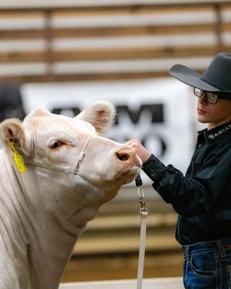 2026 Jr. Cattle Show