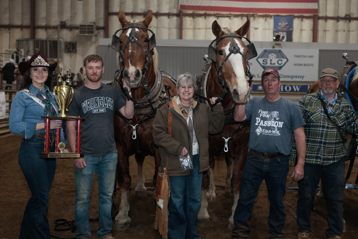 Horse Day 2026 Winners